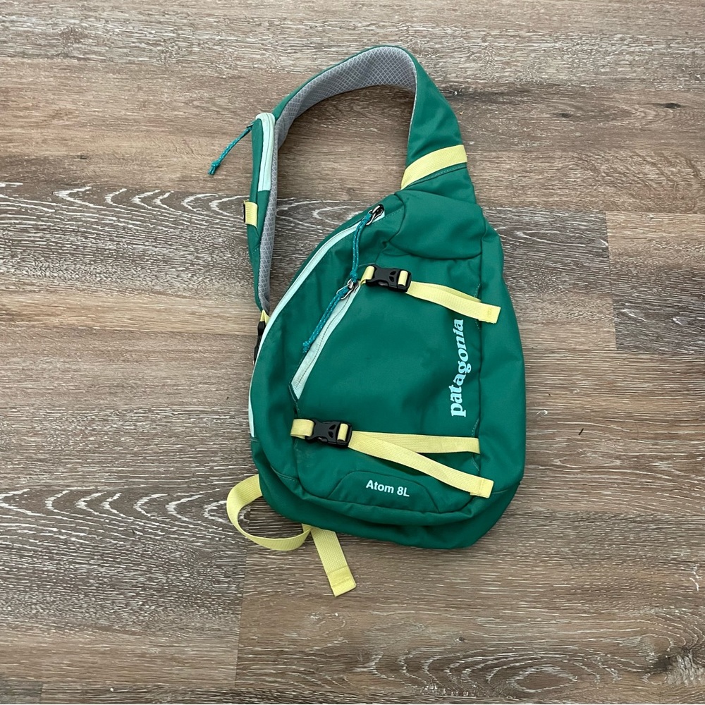 Patagonia Atom Bag